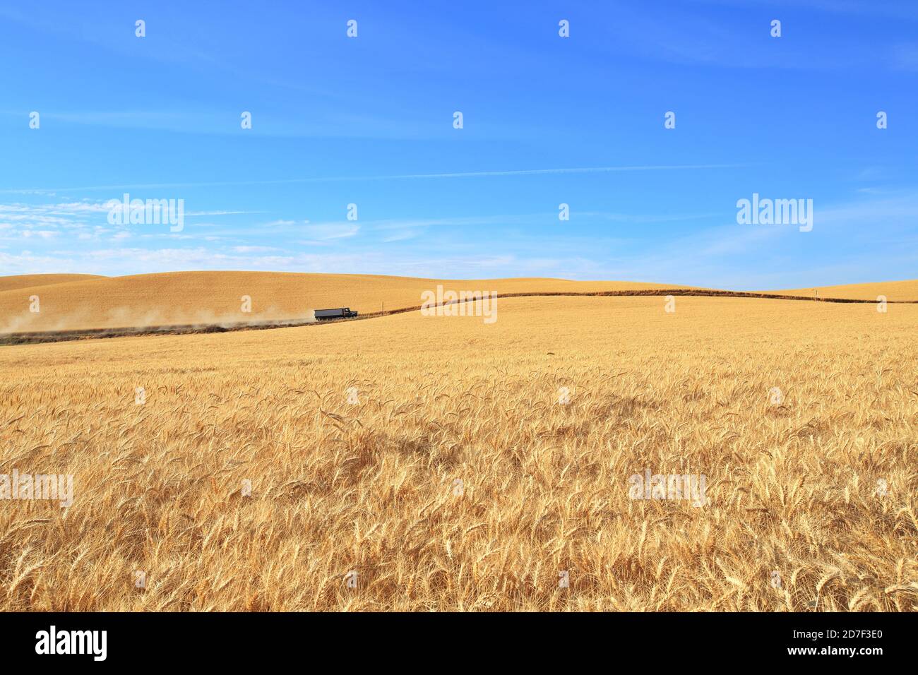 Palouse Wheat Fields im Herbst, Washington-USA Stockfoto