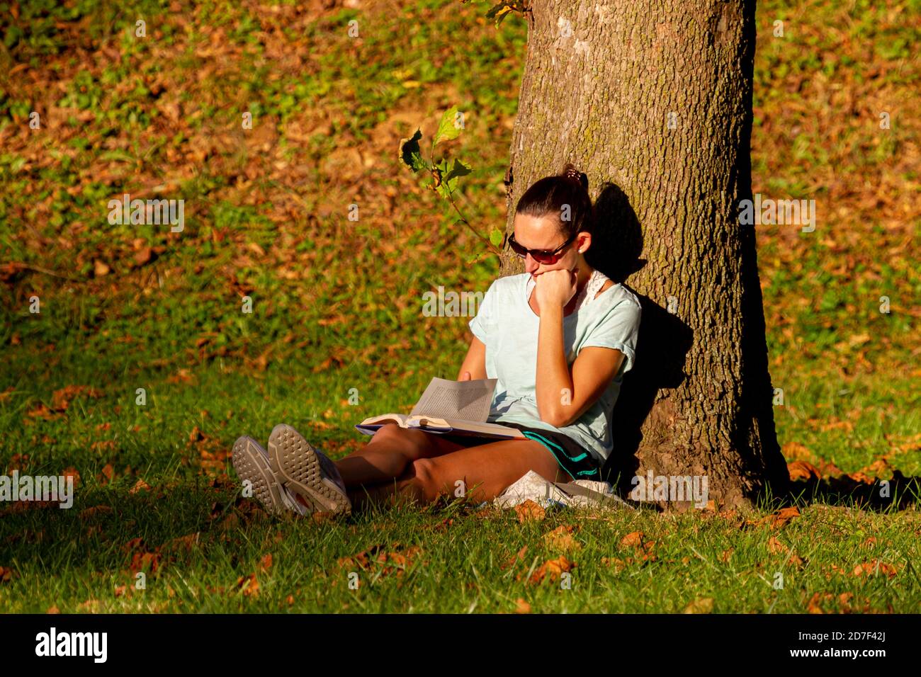 Frederick, MD, USA 10/14/2020: Eine junge kaukasische Frau mit einem kurzen T-Shirt sitzt allein unter einem Baum im Park und liest ein Buch auf einem sonnigen A Stockfoto