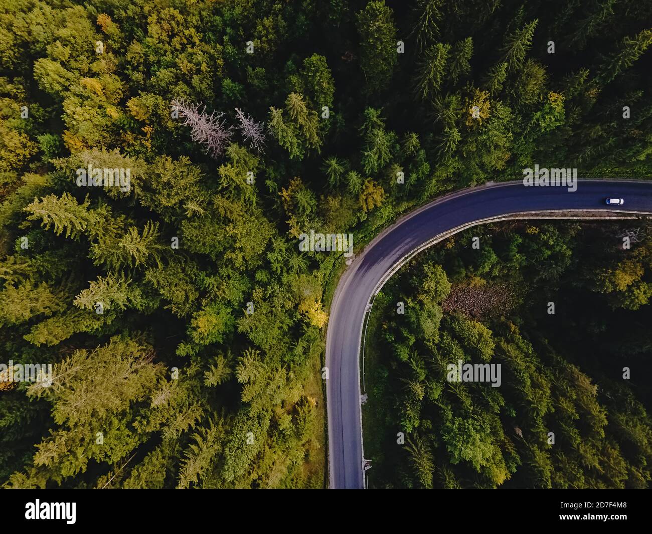 Luftaufnahme von oben auf kurvige Bergstraße Stockfoto