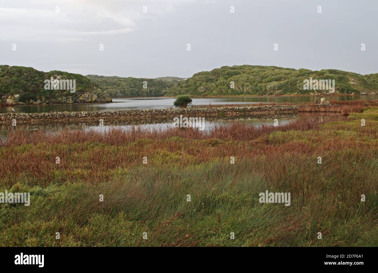Blick über Feuchtgebiete zu niedrigen Hügeln Menorca, Balearen, Spanien Oktober Stockfoto