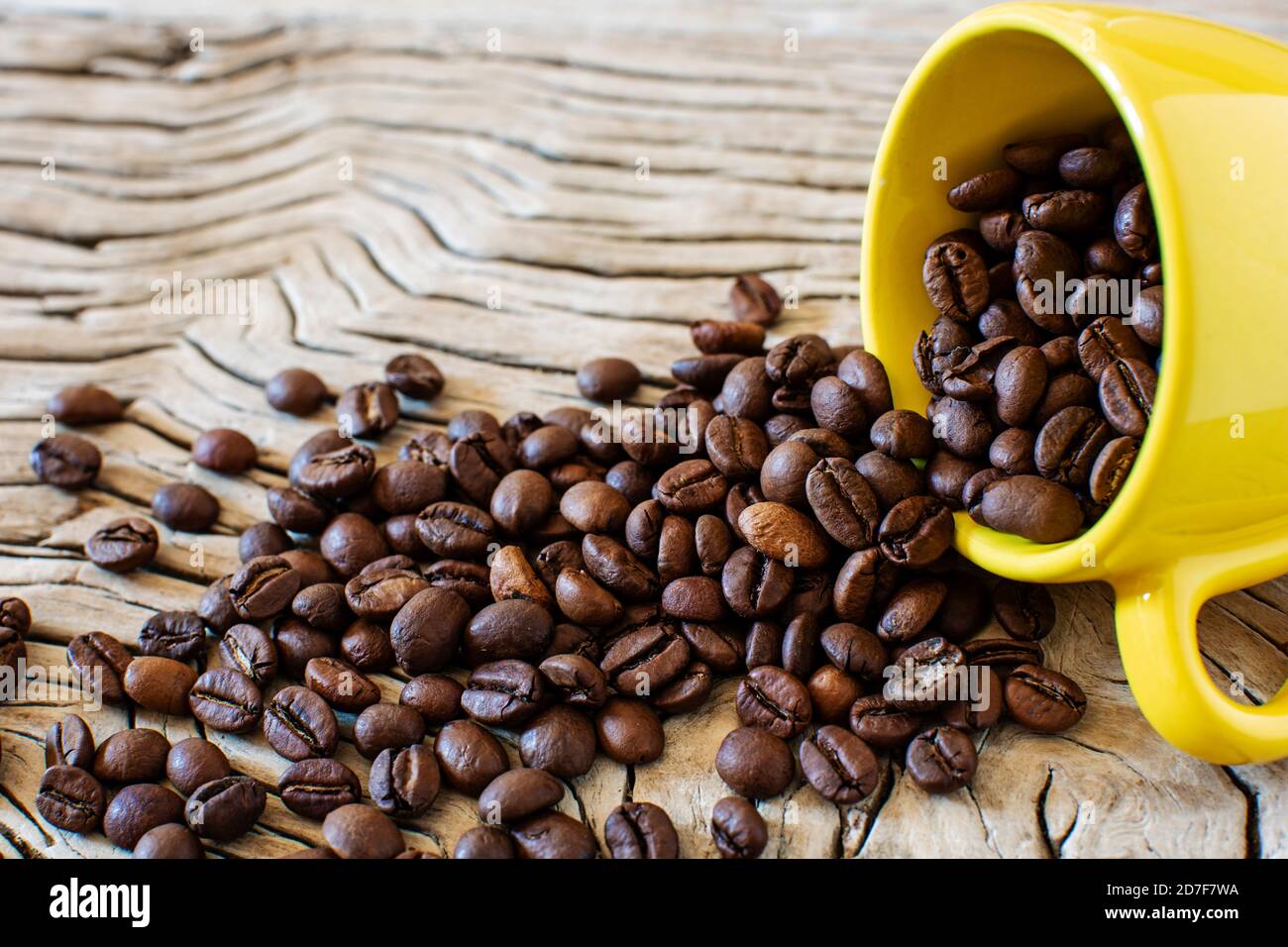 Kaffeebohnen und gelbe Tasse. Kaffeebohnen kommen aus einer kleinen gelben Tasse auf den Tisch Stockfoto