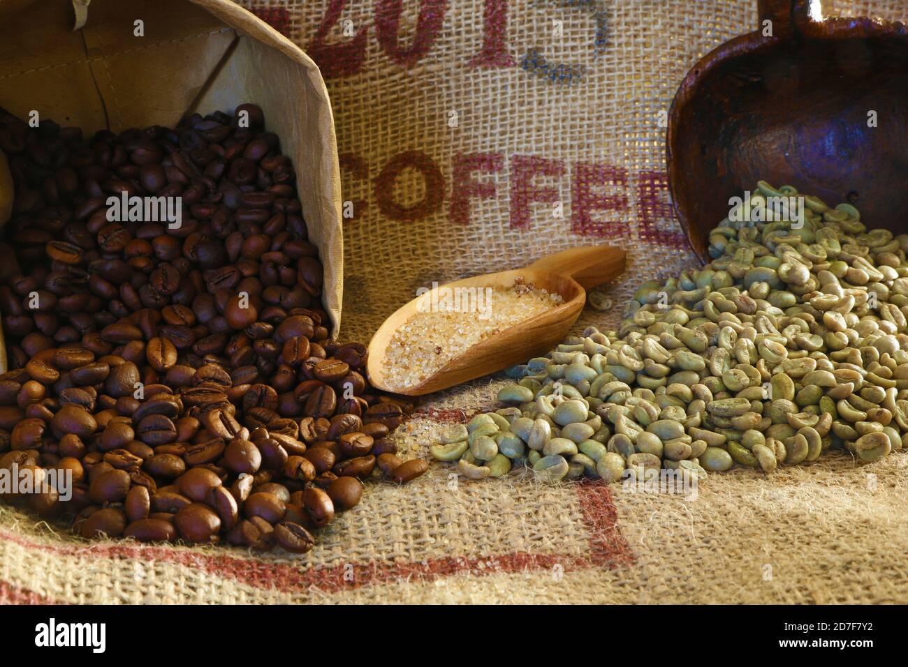 Geröstete und grüne Kaffeebohnen auf Jutebeutel Stockfoto