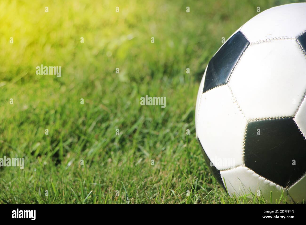 Typischer Fußball auf dem Rasen, im Freien auf dem Stadionfeld. Stockfoto