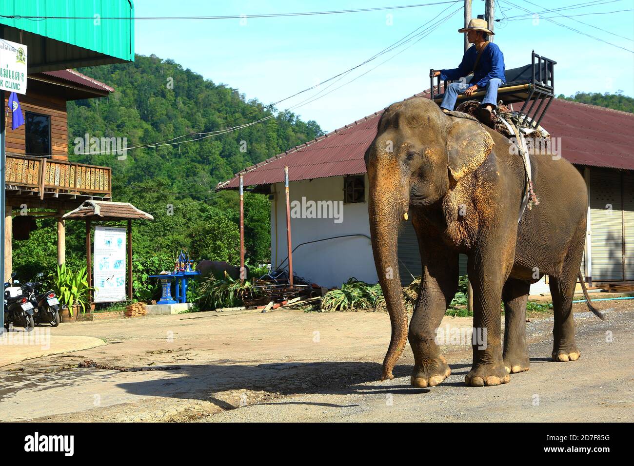 Mahout und sein Elefant in Chiang Mai, Thailand Stockfoto
