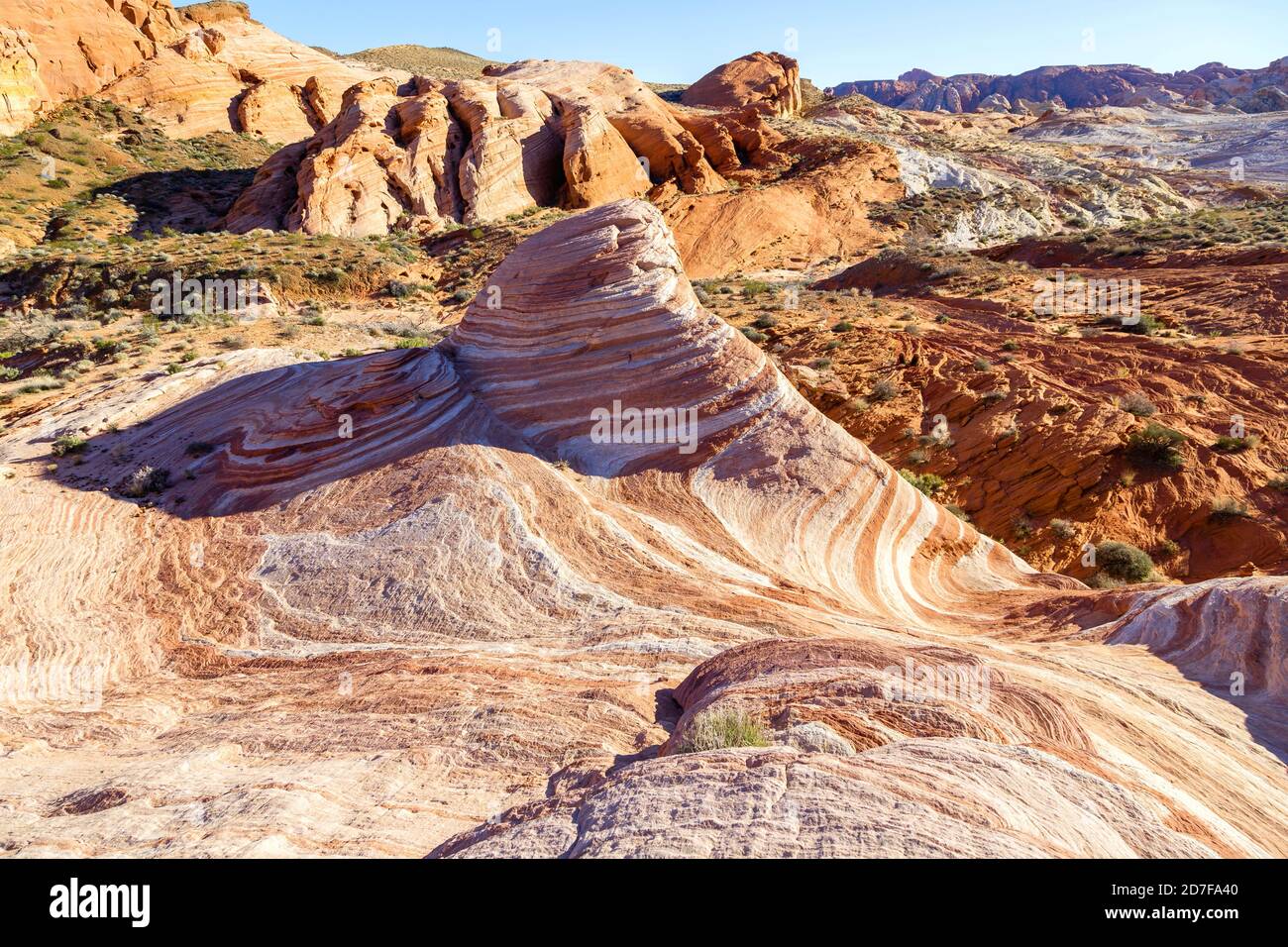 Feuerwelle im Valley of Fire State Park, Nevada-USA Stockfoto