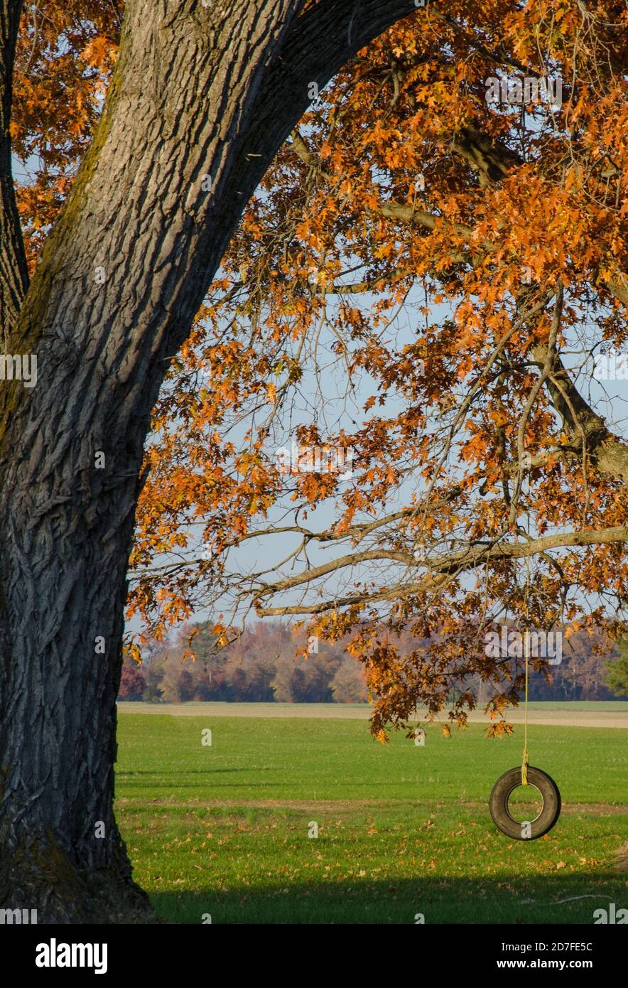 Herbstlaub im ländlichen Virginia. Foto von Liz Roll Stockfoto