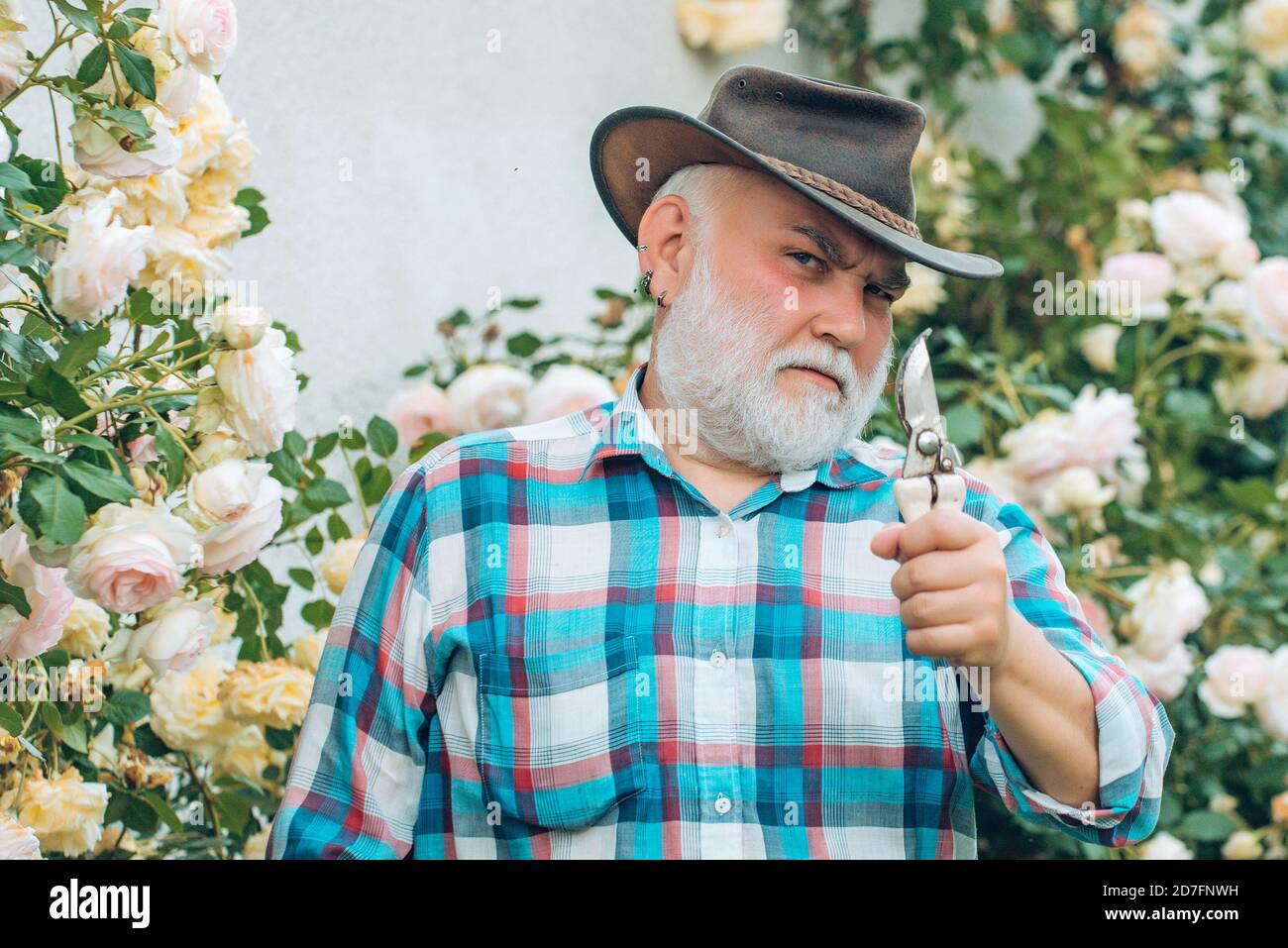 Frühling und Hobbys. Gärtner schneidet Blumen in seinem Garten