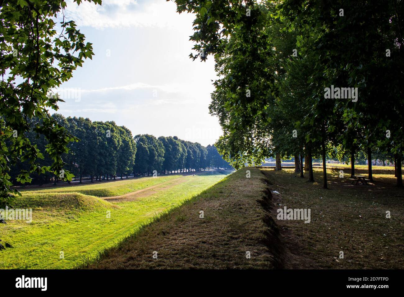 Blick von der Stadtmauer von Lucca an einem sonnigen Tag Stockfoto