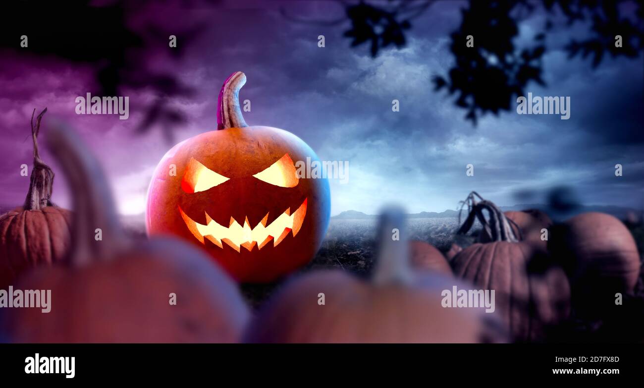Ein gruseliges halloween-Themen-Hintergrunddesign für Events und Partys. Ein nebeliges Feld mit Kürbissen in der Nacht. Fotokomposit. Stockfoto