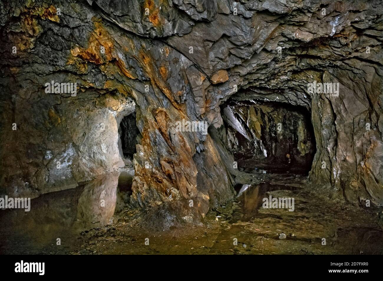 Tunnel, der durch Schießpulver durch steil angeschrägte Kalksteinschichten in einer alten Bleimine in Nordwales gesprengt wurde. Stockfoto