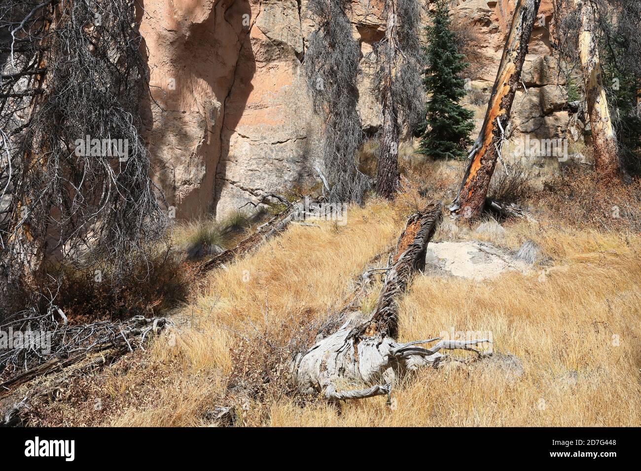 Felswände von Colorado Rocky Mountains Stockfoto
