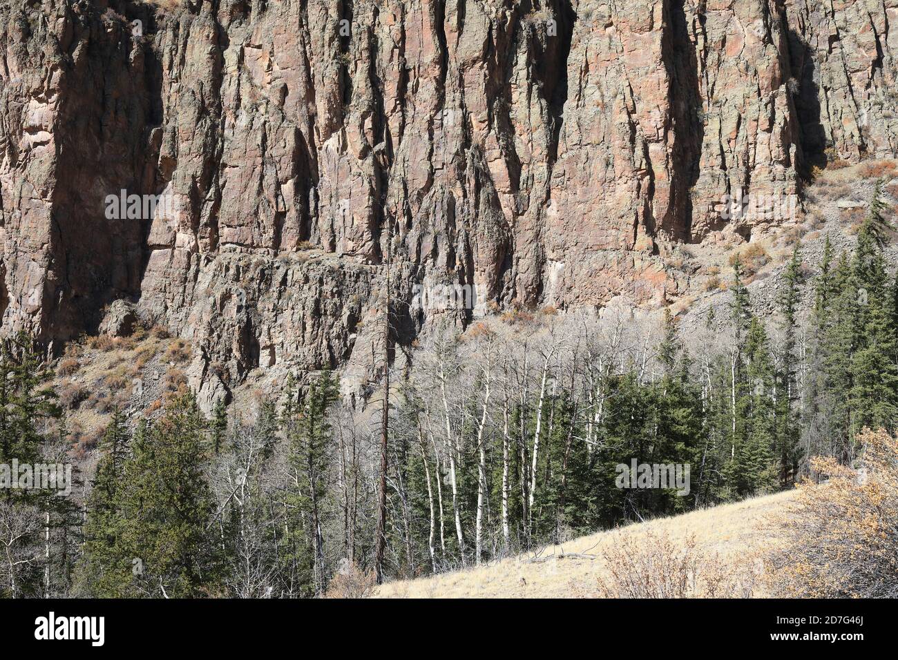 Felswände von Colorado Rocky Mountains Stockfoto