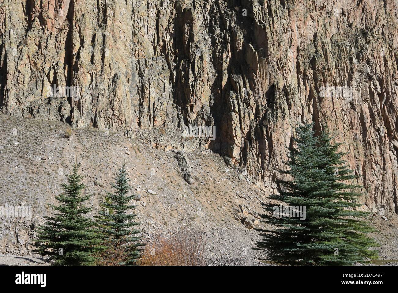 Felswände von Colorado Rocky Mountains Stockfoto