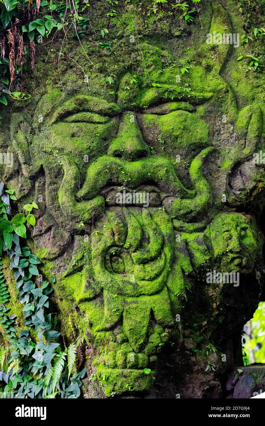 Moos wächst an einem feuchten Ort. Seine frische grüne Farbe wächst zwischen den geschnitzten Steinen. Machen Sie die Steinschnitzerei natürliche Farbe. Stockfoto
