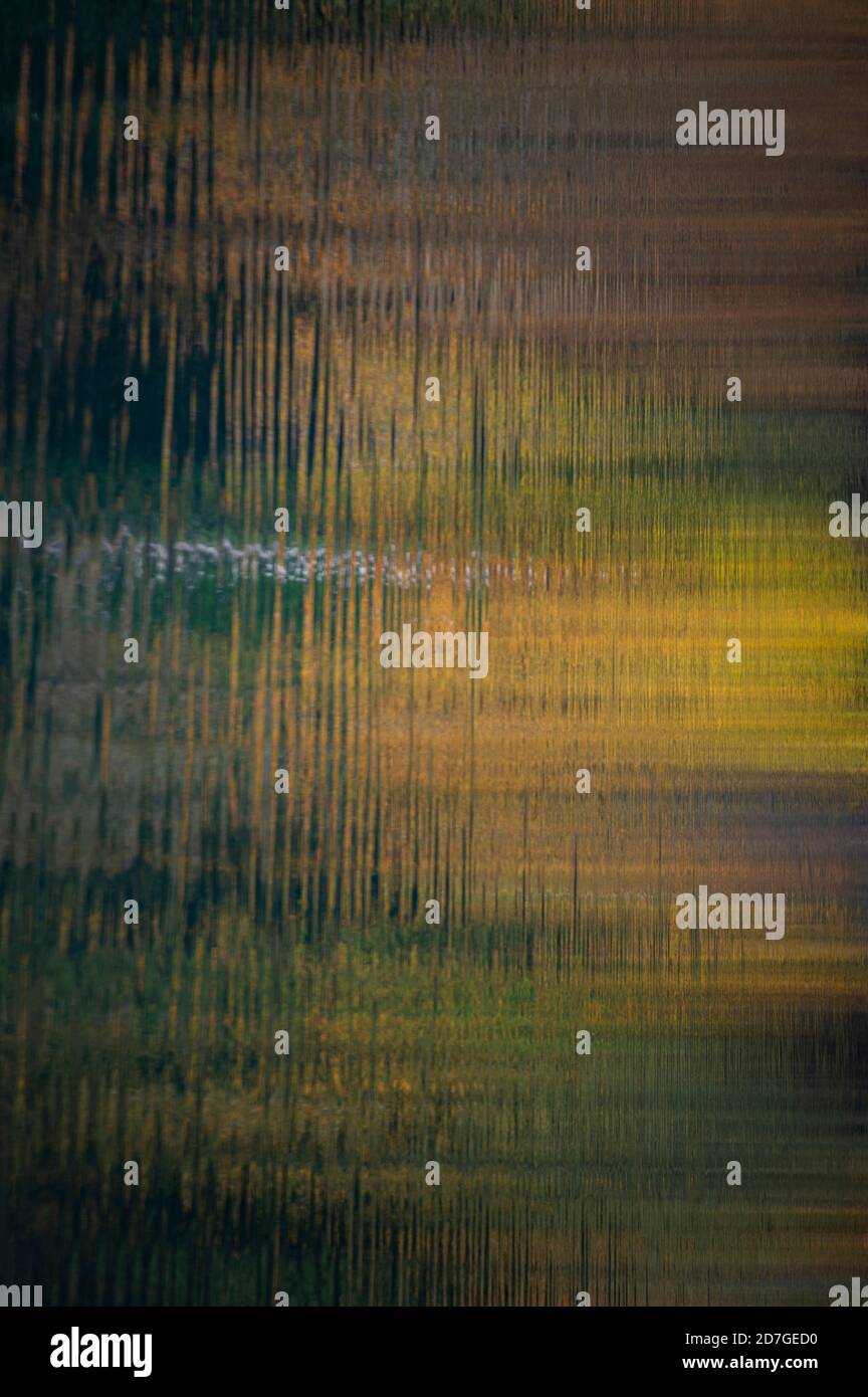Wasserreflexion Stockfoto