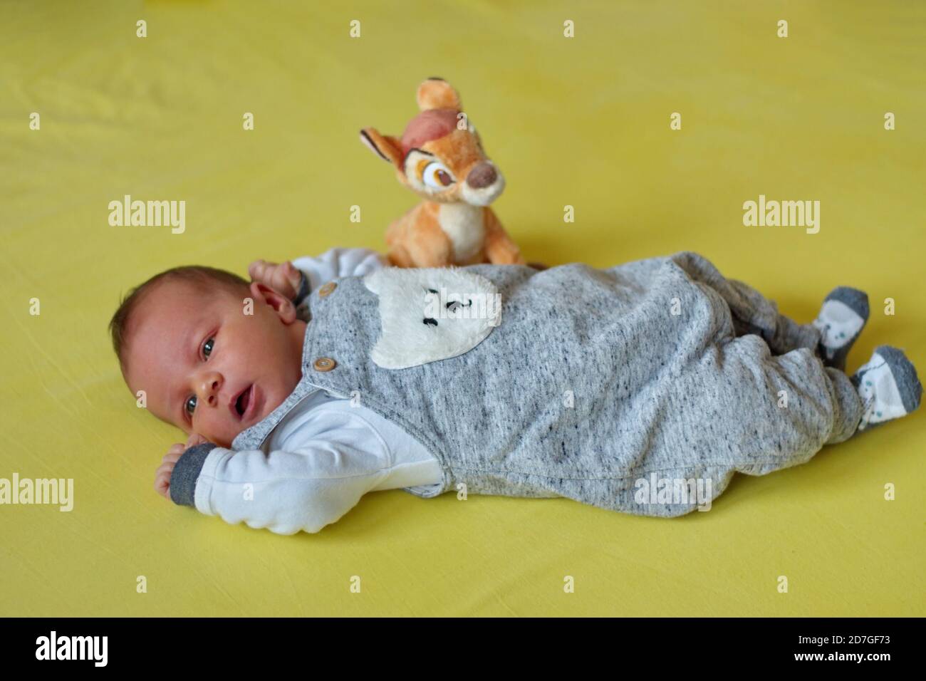 Nahaufnahme von niedlichen Neugeborenen auf gelbem Hintergrund liegen Stockfoto