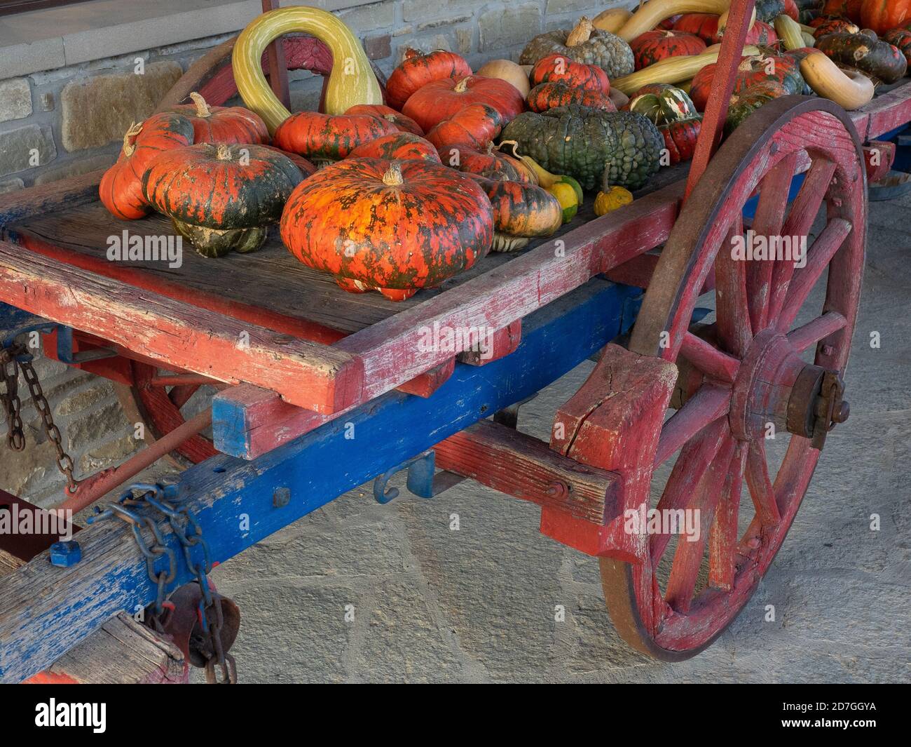 Gruppe von Pumkins von verschiedenen neugierigen Formen und Farben angezeigt Auf einem antiken Holzwagen Stockfoto