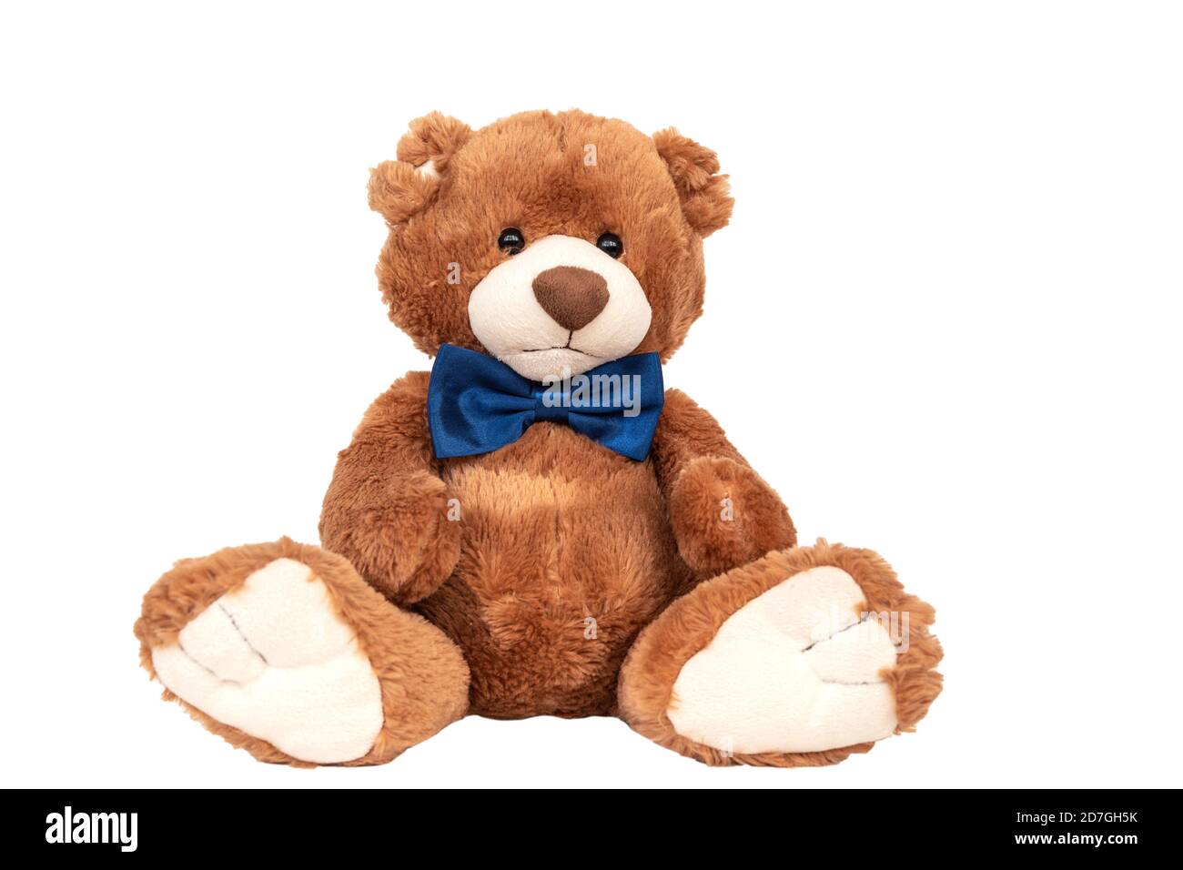 Niedlicher Teddybär mit blauer Fliege sitzt bei weiß Wand Stockfoto