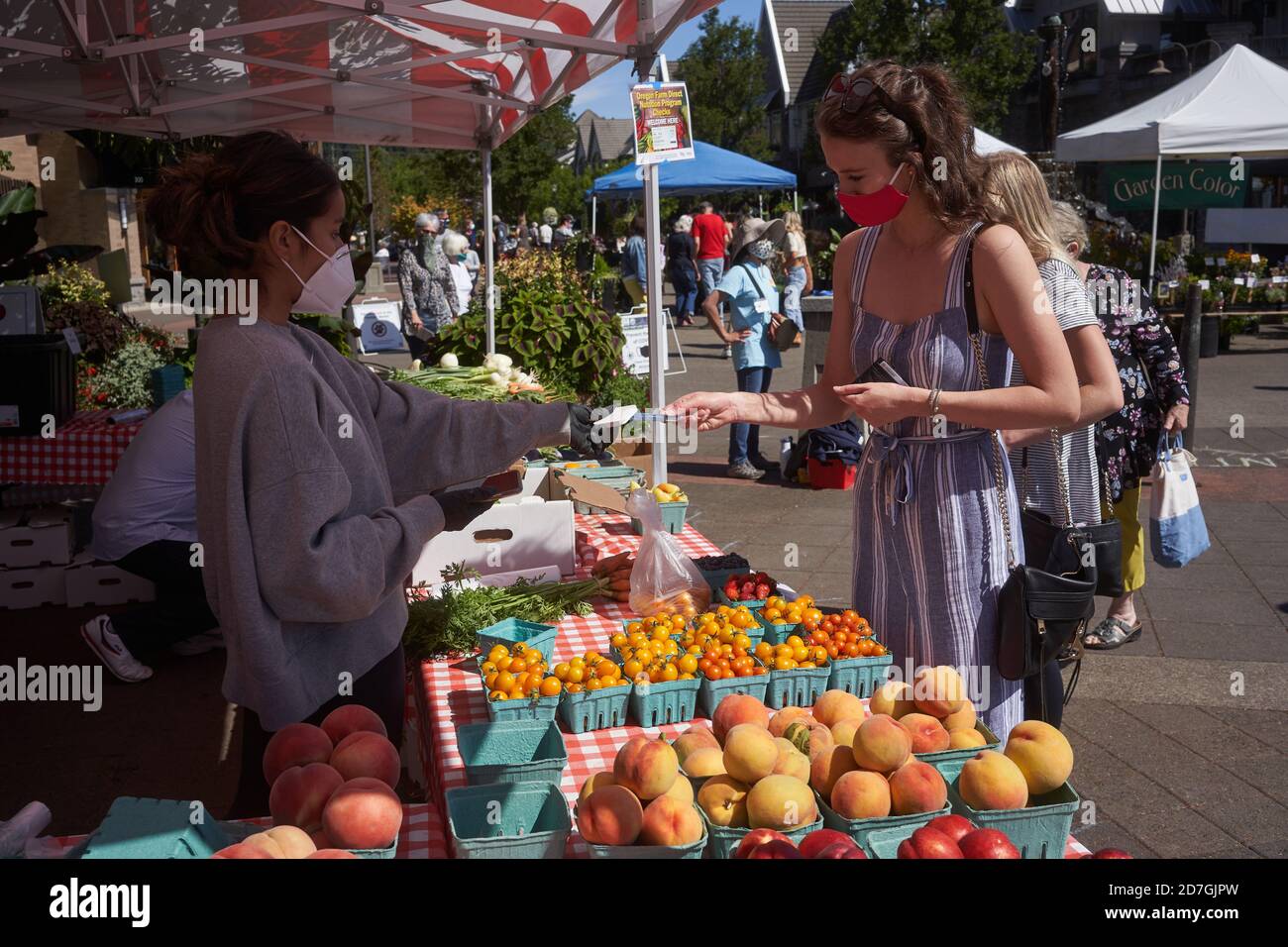 Ein Anbieter verwendet den kontaktlosen Kartenleser eines Square, um während eines Pandemiesommers die Zahlung auf dem Saturday Farmers Market in Lake Oswego, Oregon, zu verarbeiten. Stockfoto