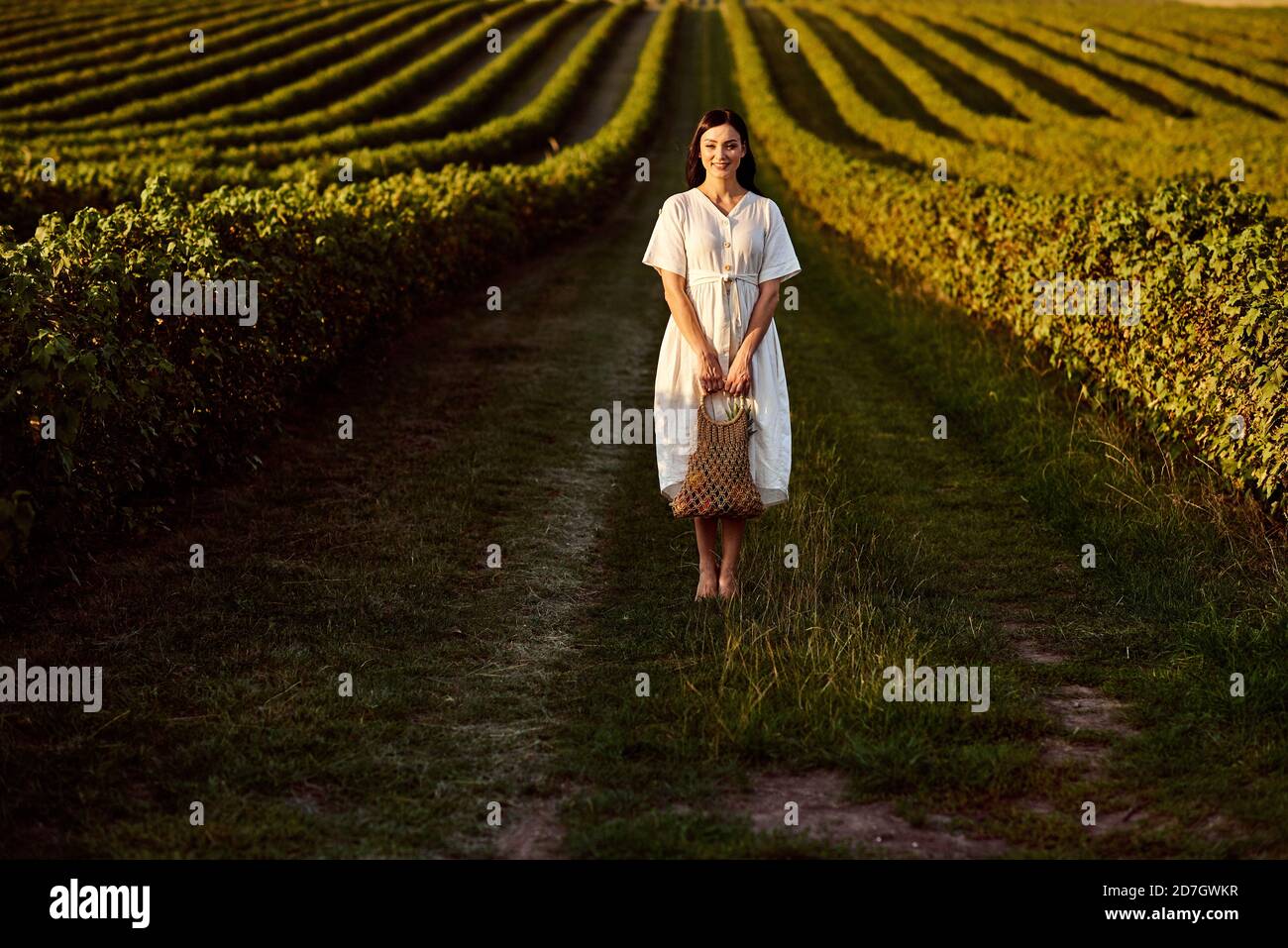 Mädchen in einem weißen Kleid steht auf einer Plantage bei Sonnenuntergang. Stockfoto