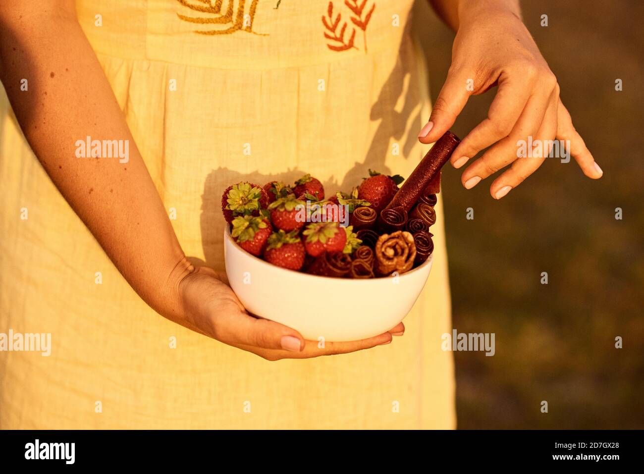 Junge Frau hält Schüssel mit leckeren Erdbeeren und Pastillen. Stockfoto