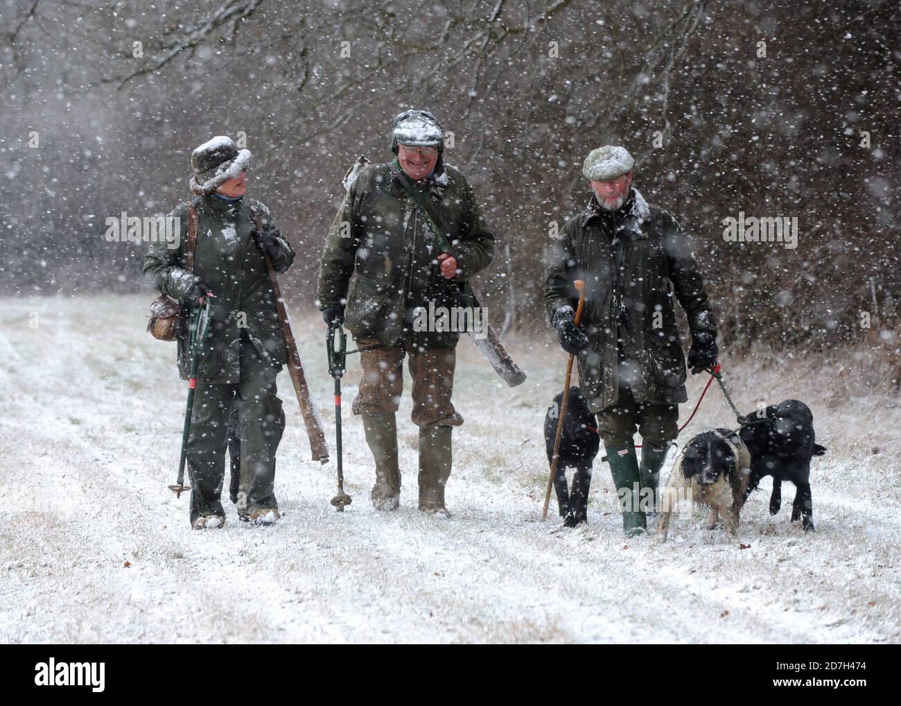 Aswarby Shoot 29.01.15 Stockfoto