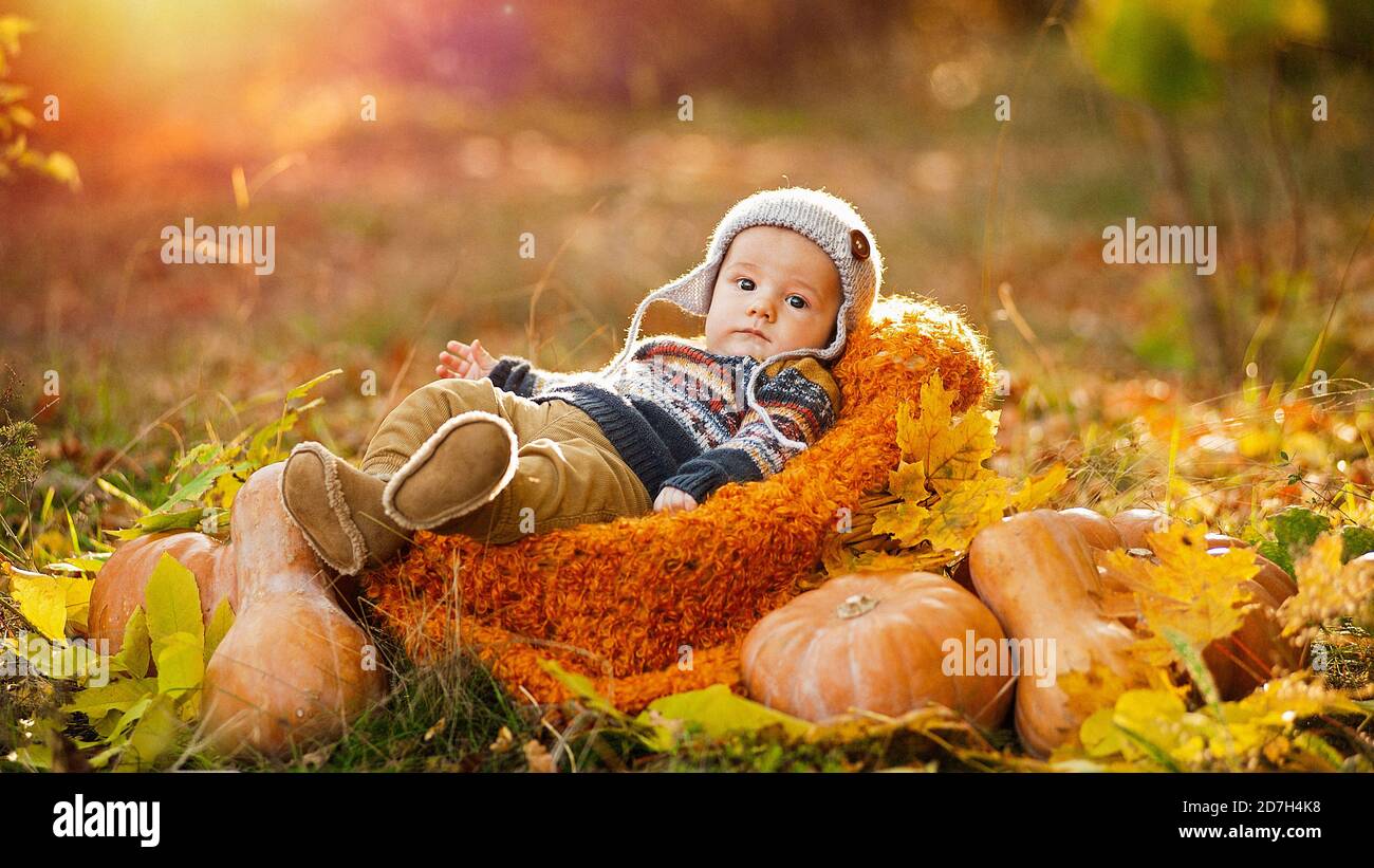 Kind Junge liegt in einem Korb mit Kürbissen in Herbstblättern. Stockfoto