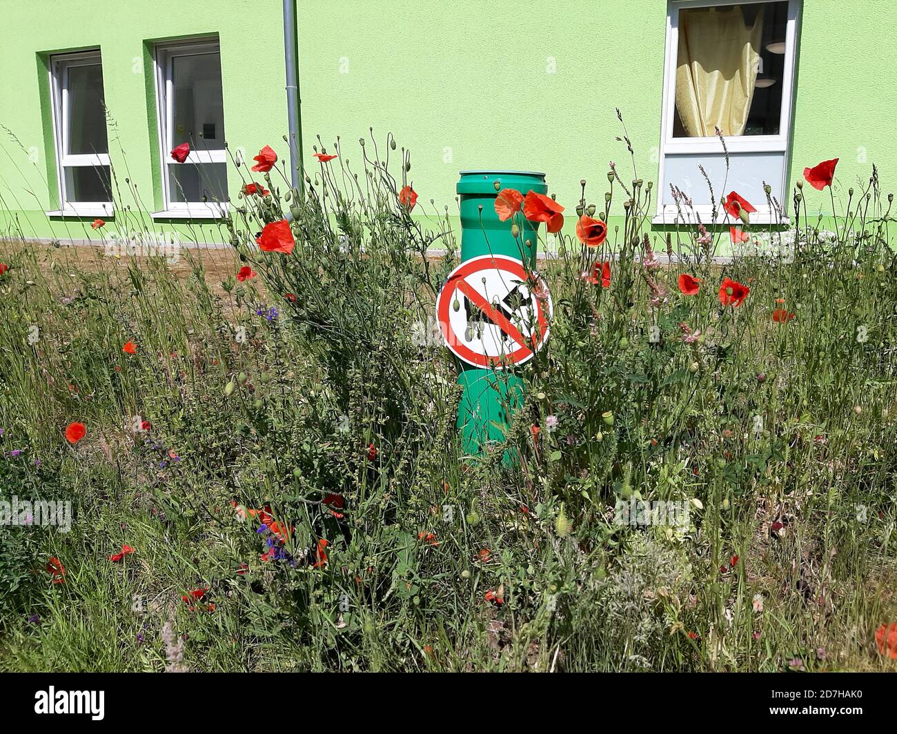 Naturgarten, bunt blühende Wiese mit Schildhunden verboten, Deutschland Stockfoto