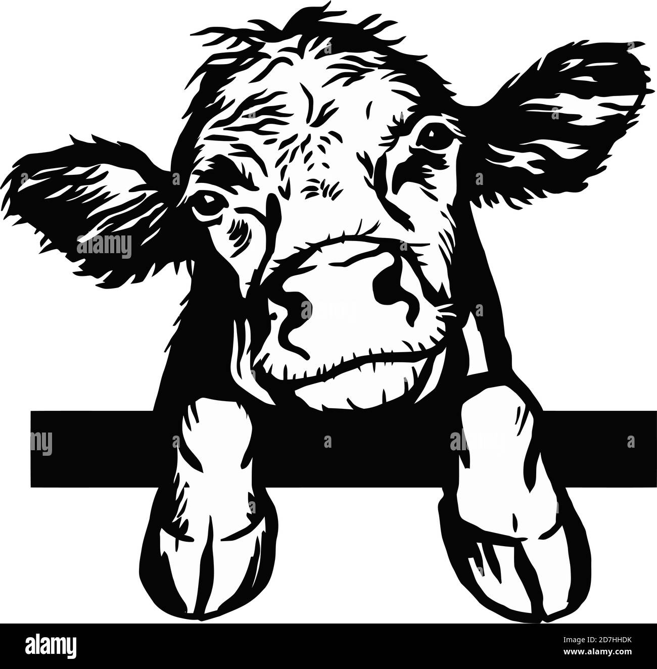 Von Hand gezeichnete, spätende Kalb. Kalb, Stier, Rinder Vektorgrafik. Kollektion von Nutztieren. Schwarz-Weiß-Grafik. Stock Vektor