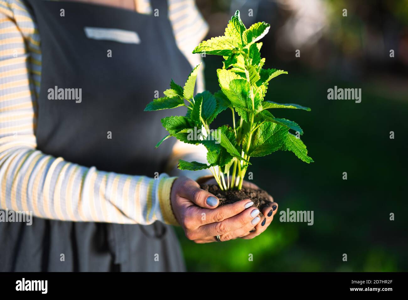 Boden Erde Bewegt Stockfotos und bilder Kaufen Alamy