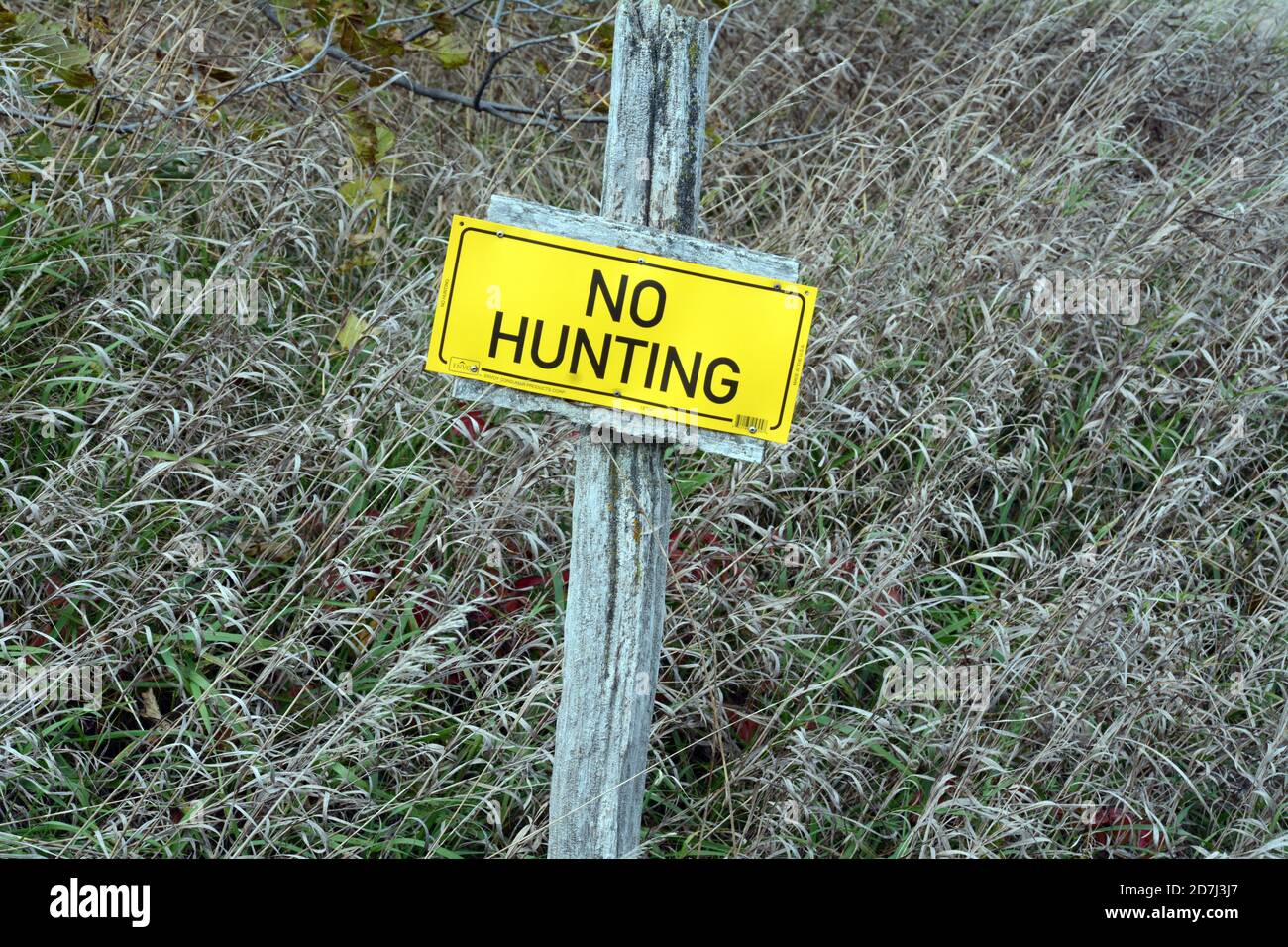 Ein "No Hunting"-Schild auf Privateigentum an der Grenze zwischen Ackerland und Wald in der Nähe der Stadt Orangeville im Süden von Ontario, Kanada. Stockfoto