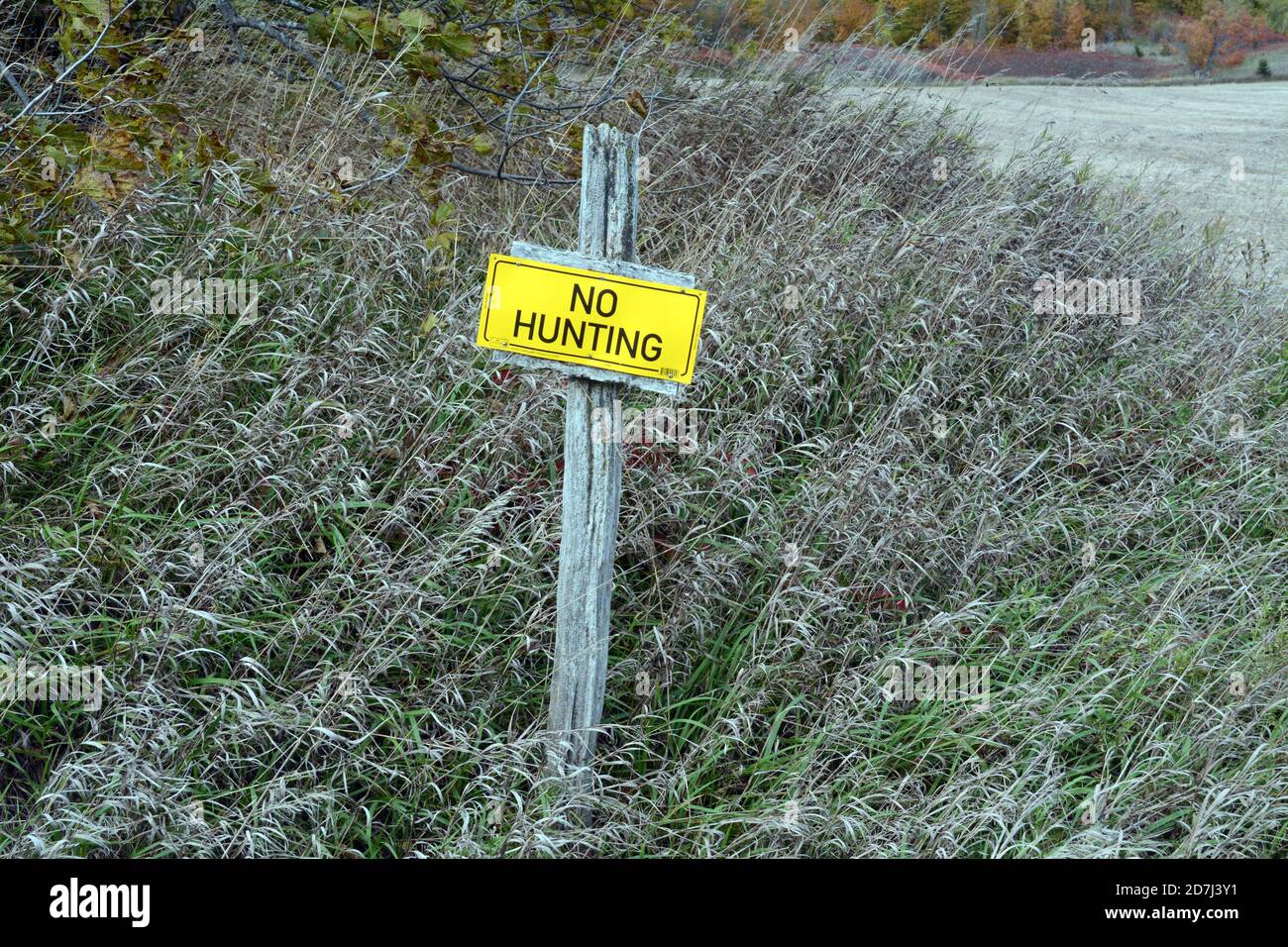 Ein "No Hunting"-Schild auf Privateigentum an der Grenze zwischen Ackerland und Wald in der Nähe der Stadt Orangeville im Süden von Ontario, Kanada. Stockfoto