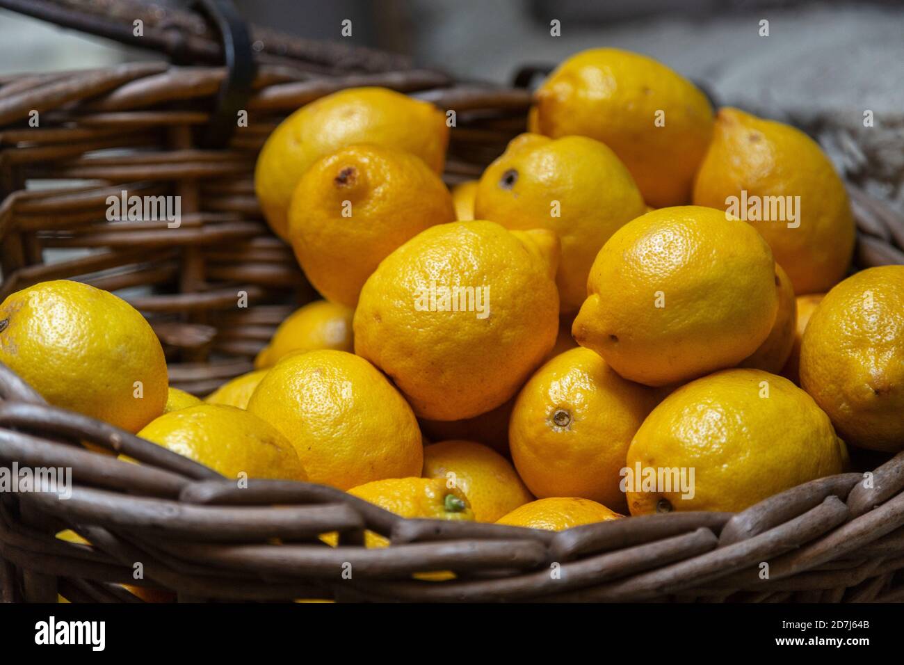 Zitronen in einem Fahrradkorb Stockfoto