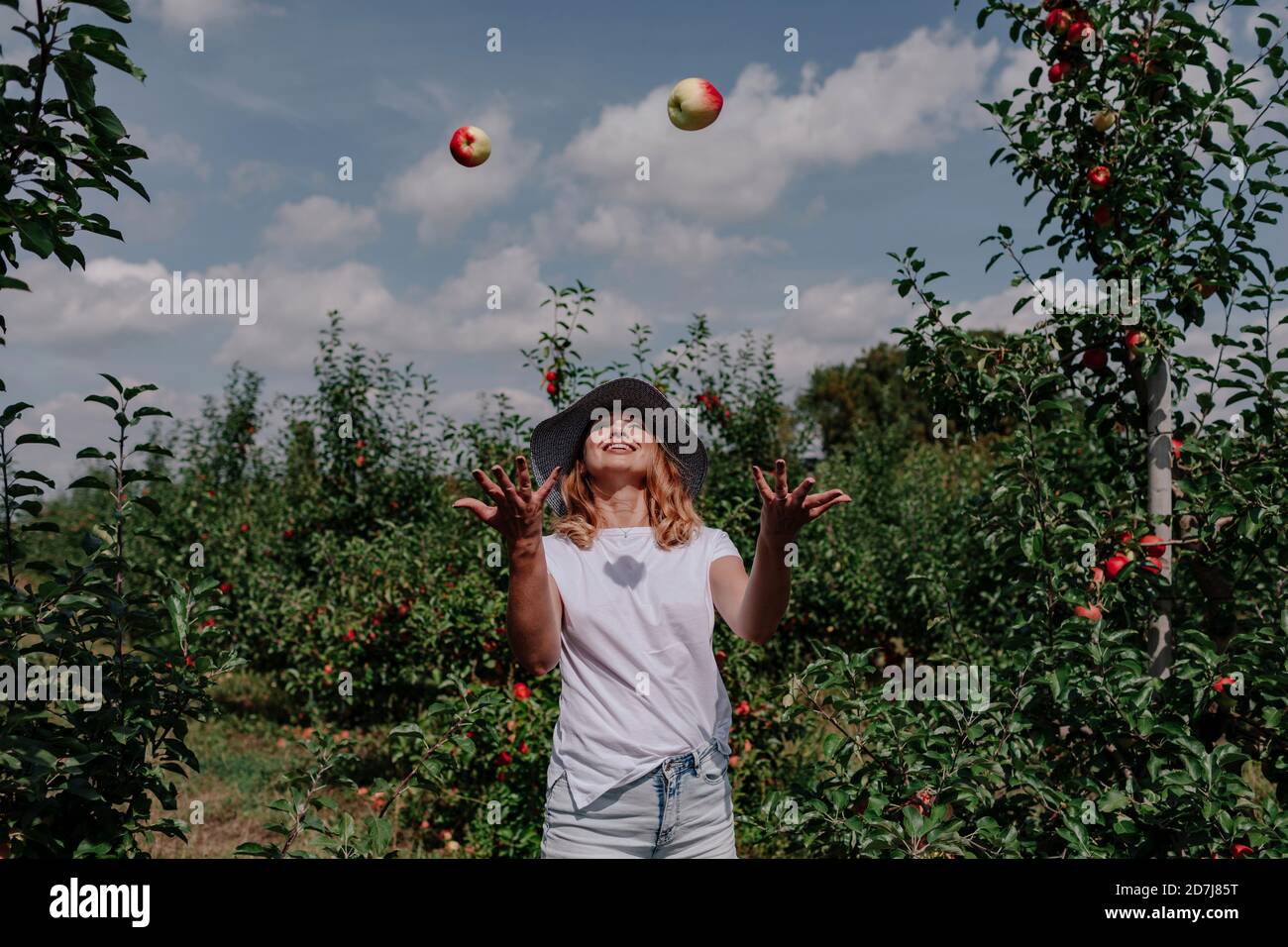 Mittlere Erwachsene Frau, die Äpfel in die Luft wirft, während sie mitten steht Bäume am Obstgarten Stockfoto