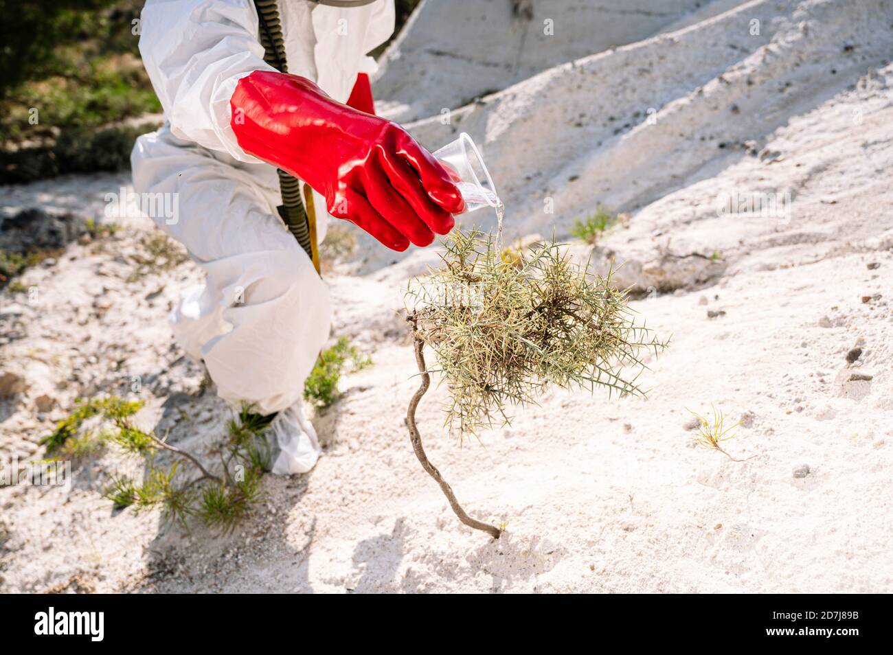 Männliche Astronaut gießen Wasser auf Pflanze, während Forschung auf Planet Stockfoto