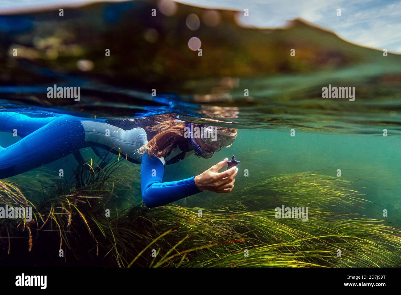 Frau, die auf der Suche nach Meeresnahrung ist, während sie ins Meer taucht Stockfoto