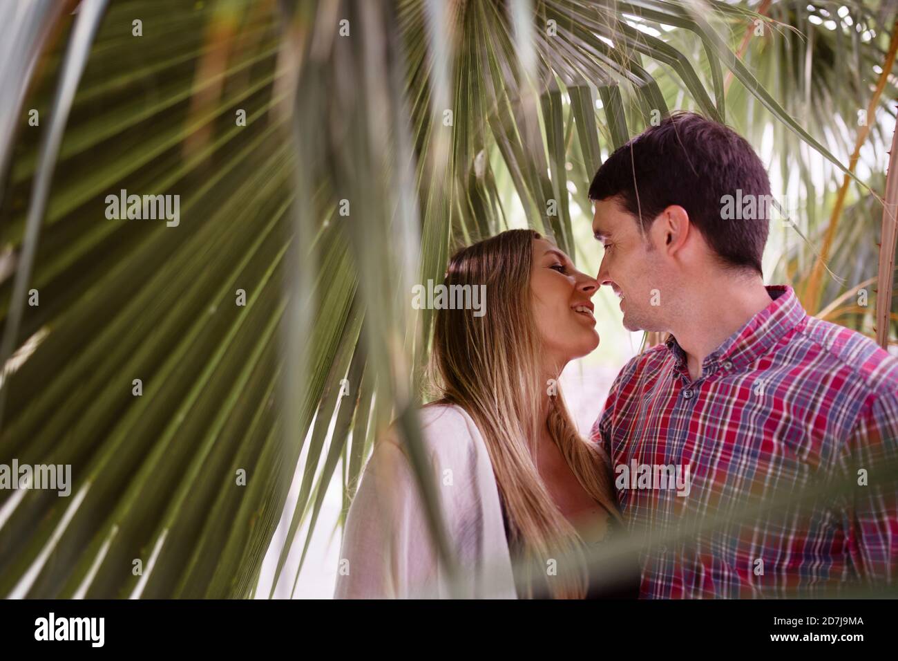 Lächelndes Paar knurrende Nase, während man unter Palmblatt steht Stockfoto