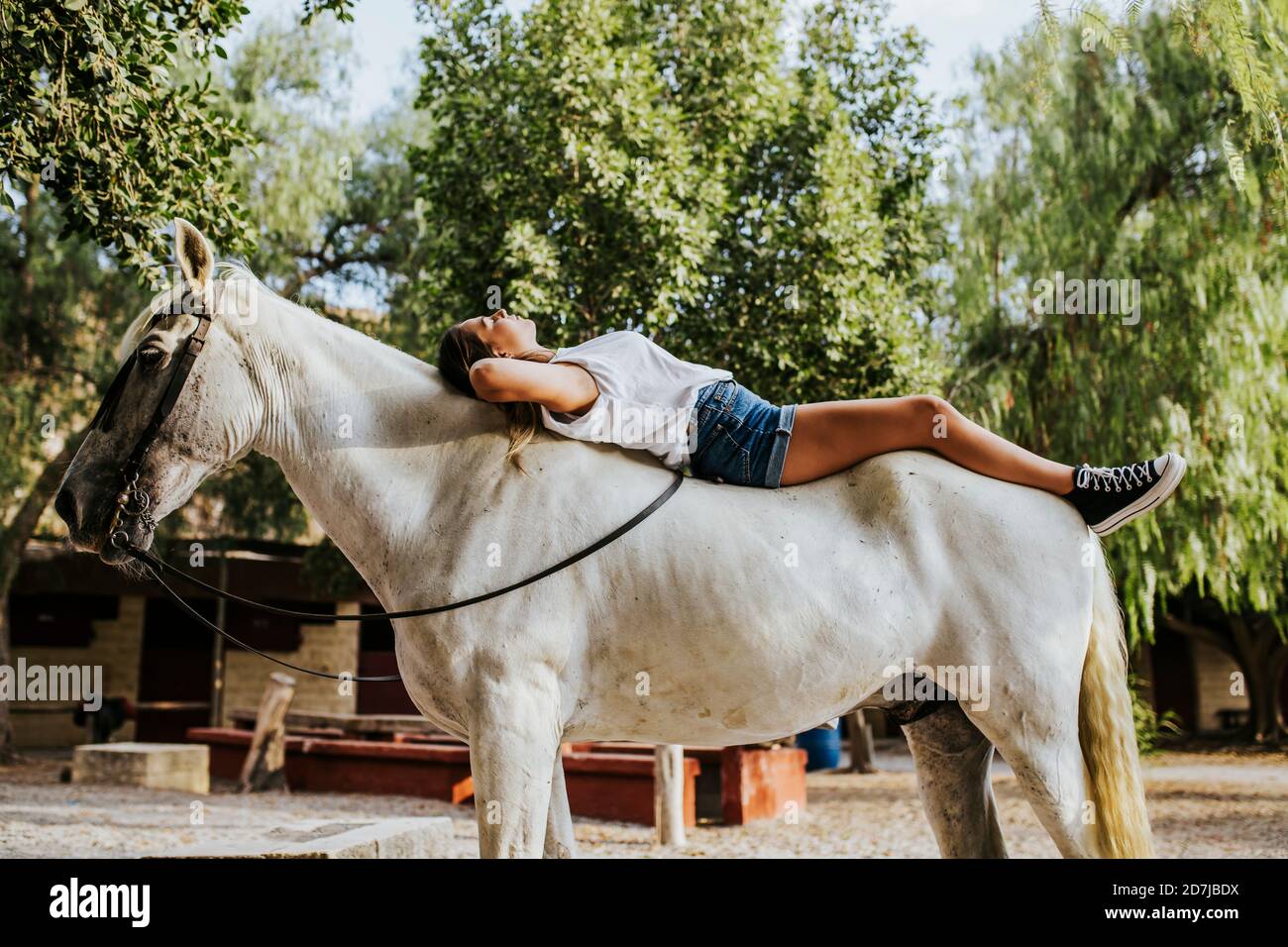 Schöne junge Frau, die auf einem weißen Pferd liegt Stockfoto