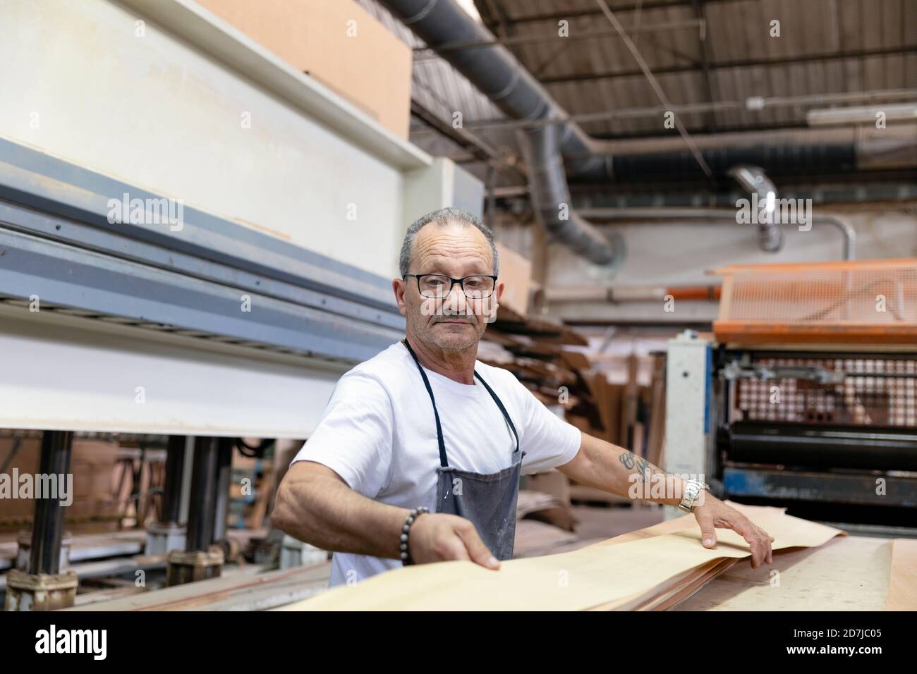 Ältere Männer sammeln laminiertes Holz, während sie in der Fabrik stehen Stockfoto
