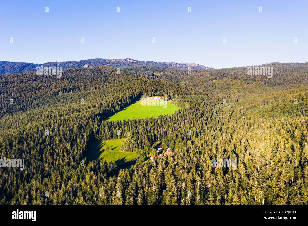 Drohnenansicht von Waldlichtungen im Bayerischen Wald Stockfoto