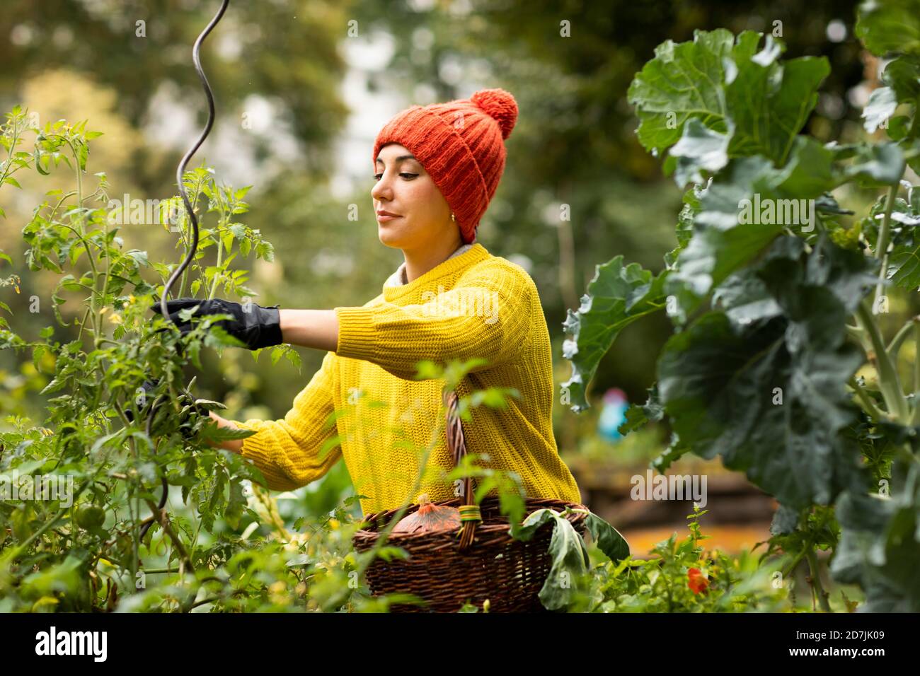 Mittlere Erwachsene Frau in warmer Kleidung Gartenarbeit während des Stehens an Stadtgarten Stockfoto