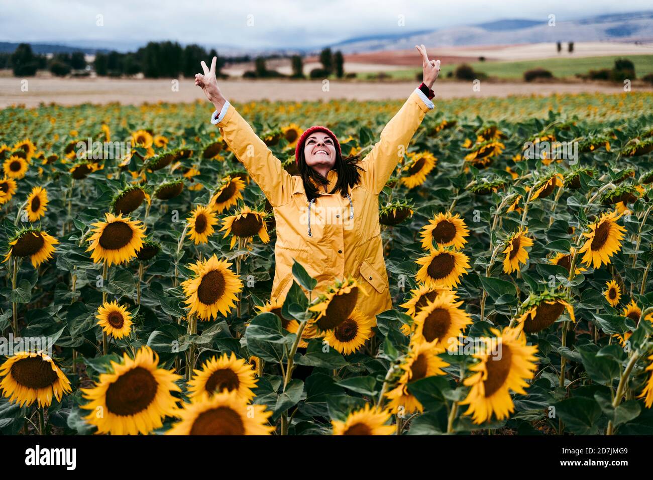 Junge Frau im Sonnenblumenfeld stehend Frieden Zeichen Gesten Stockfoto