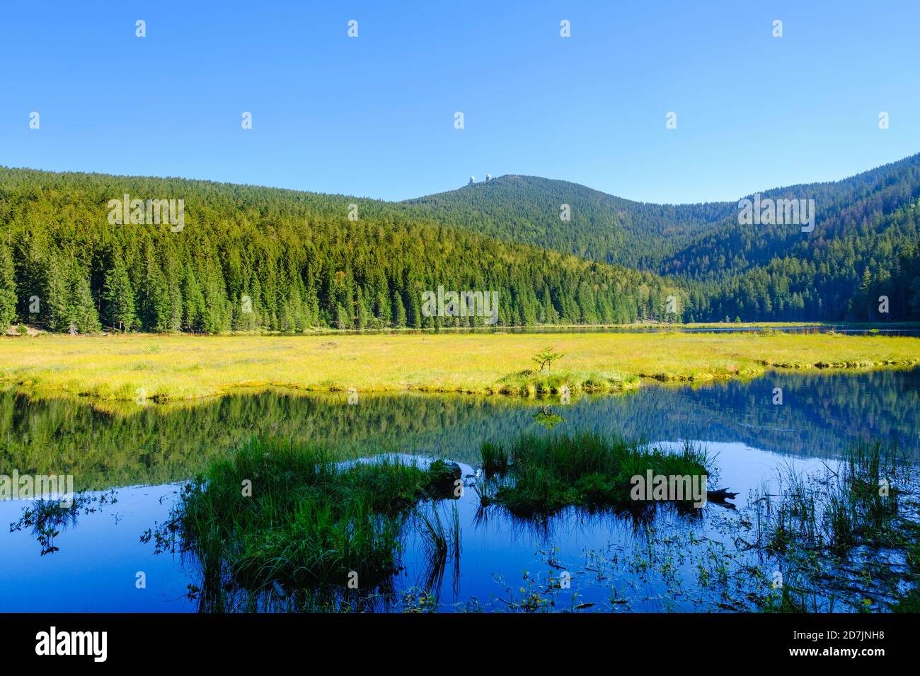 Schöner Blick auf den Kleinen Arbersee und den umliegenden Fichtenwald Im Sommer Stockfoto