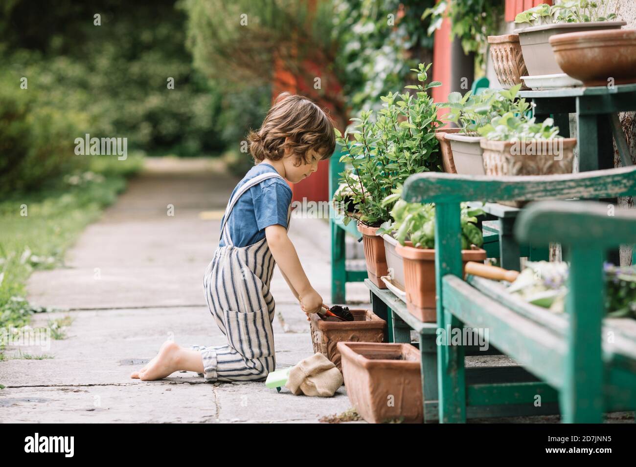 Junge knieend, während Gartenanlage im Hinterhof Stockfoto