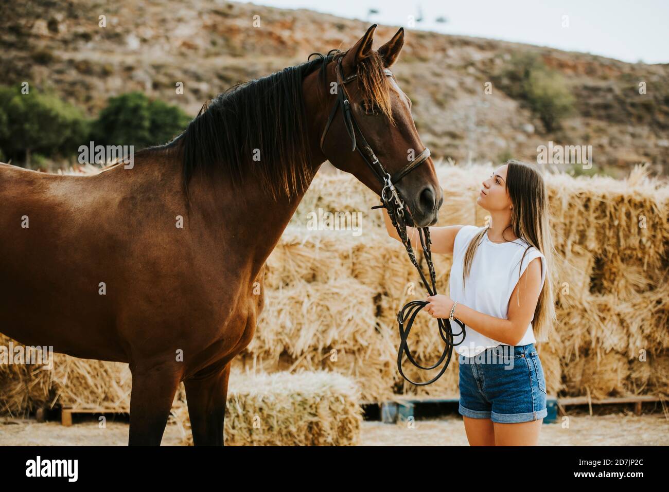 Schöne junge Frau, die Zügel von braunem Pferd hält Stockfoto