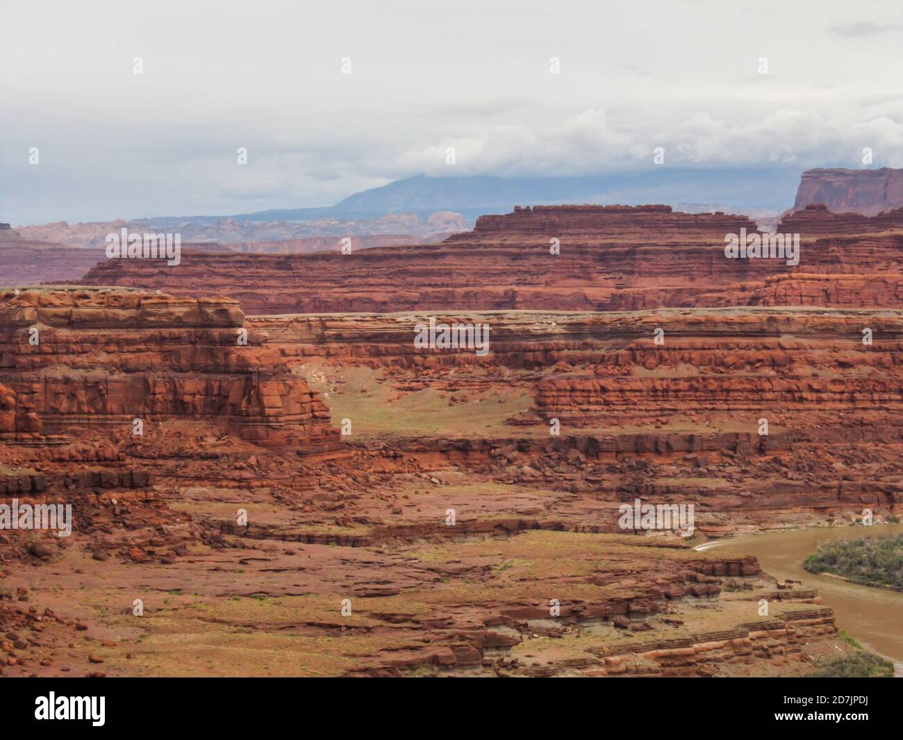 Die dunkelrotbraunen Schichten der Moenkopi-Formation in den Klippen, die die White Rim Road unterhalb des Canyonlands National Park, Utah, USA, umgeben Stockfoto