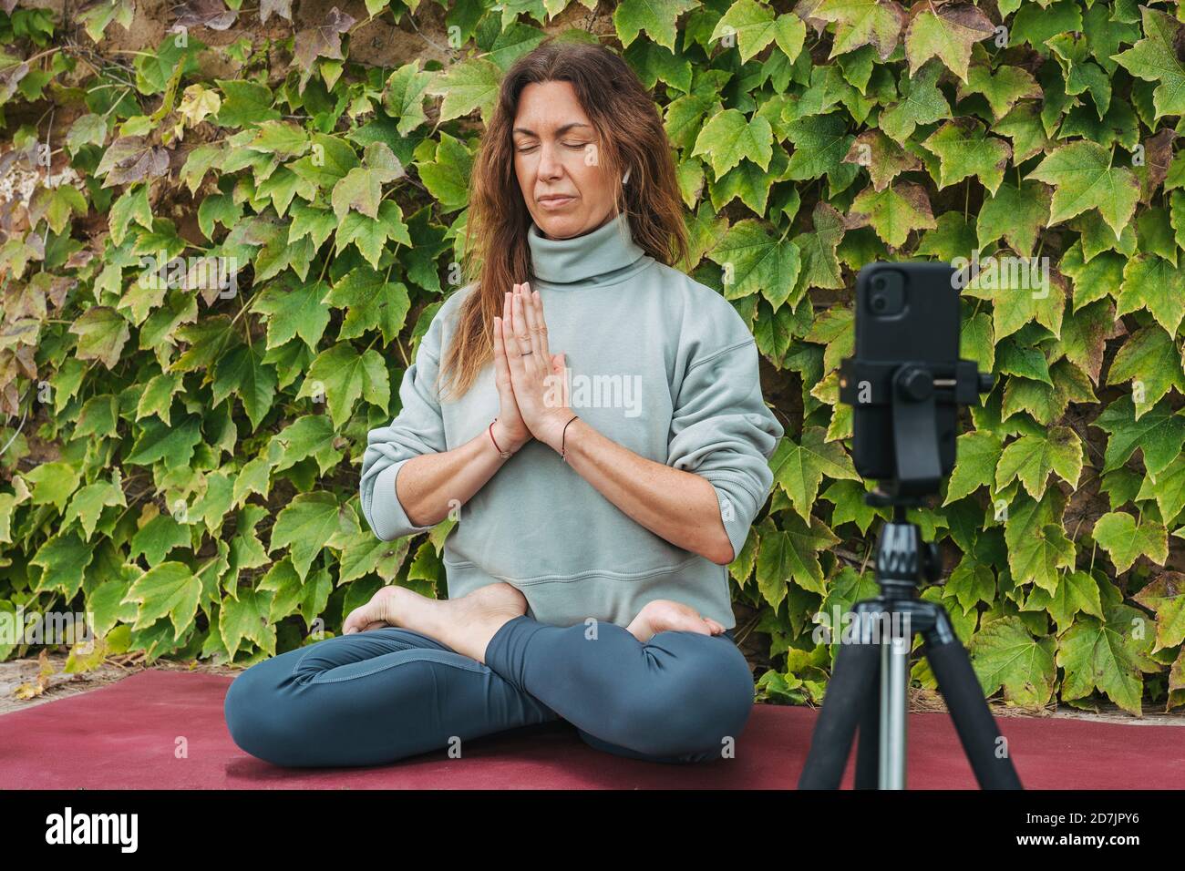 Frau sitzt und Live-Streaming Yoga mit Handy an Stativ gegen Efeuwand Stockfoto