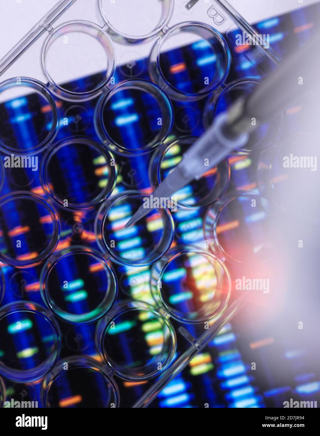 Wissenschaftliche Forschung auf Multi-Well-Platte für DNA-Analyse mit Genetische Ergebnisse im Hintergrund Stockfoto