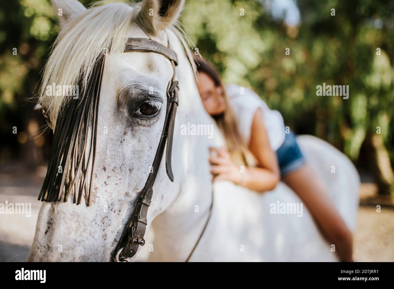 Weißes Pferd suchen eine tcamera beim Tragen schöne junge Frau Stockfoto