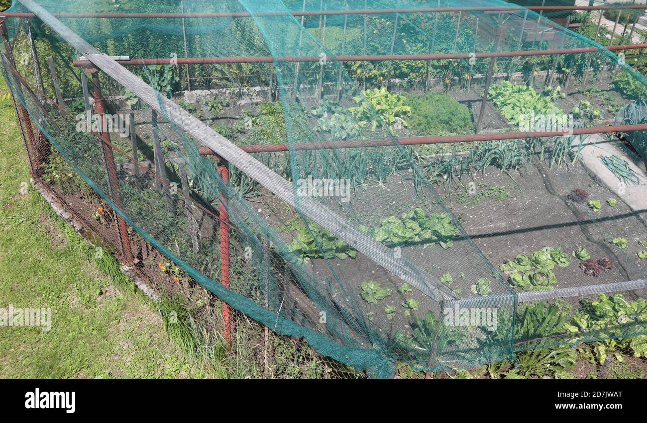 Hagelschutz gemüsegarten Fotos und Bildmaterial in hoher Auflösung